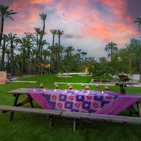 Historical Palms By Fidalsa Villa *