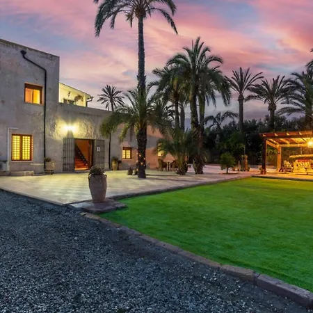 Historical Palms By Fidalsa Villa *
