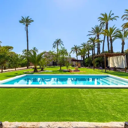 Historical Palms By Fidalsa Villa *