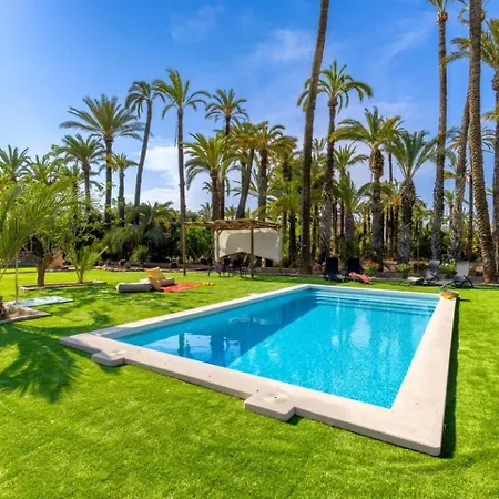 Historical Palms By Fidalsa