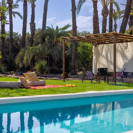 Historical Palms By Fidalsa Villa Elche