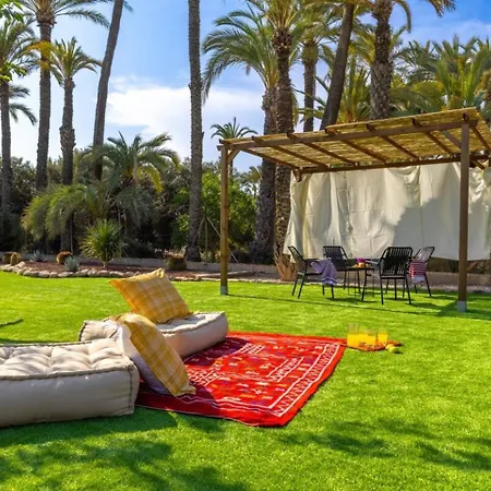 Historical Palms By Fidalsa *