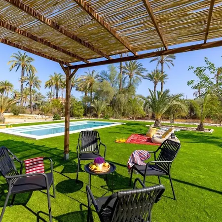 Villa Historical Palms By Fidalsa *