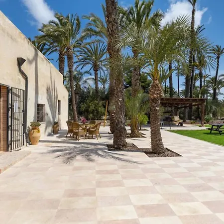 Historical Palms By Fidalsa * Elche