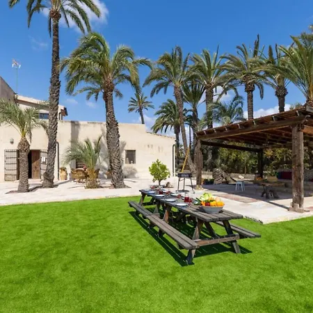 Historical Palms By Fidalsa * Elche