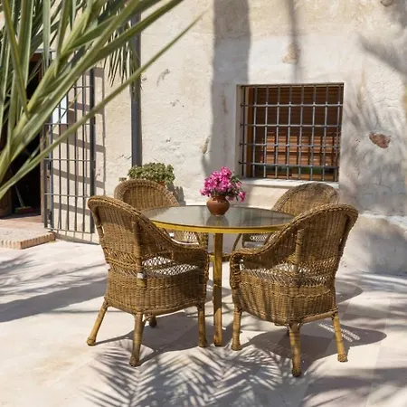 Historical Palms By Fidalsa Villa Elche