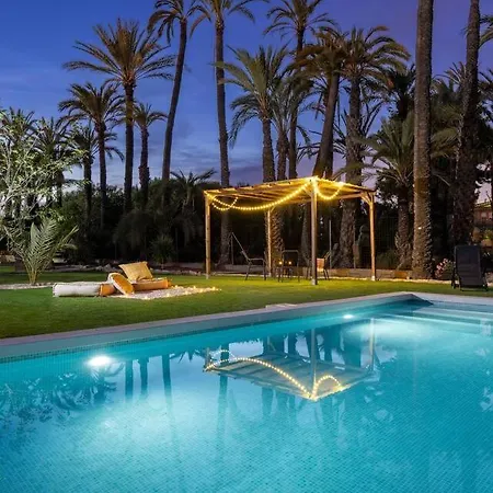 Historical Palms By Fidalsa * Elche